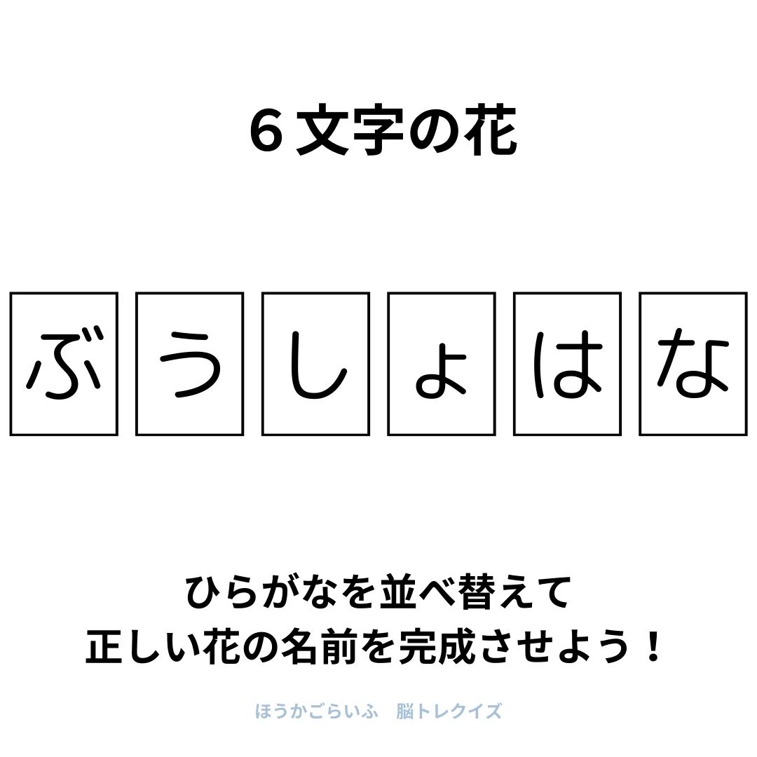 高齢者向け（無料）言葉の並び替えで脳トレしよう！文字（ひらがな）を並び替える簡単なゲーム【花の名前】健康寿命を延ばす鍵